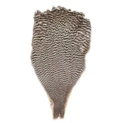 Keough Saltwater Neck Grizzly