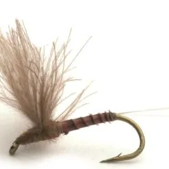 Umpqua CDC Biot Comparadun Quill Gordon