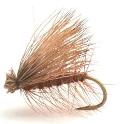 Umpqua CDC Elk Caddis Brown