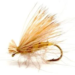 Umpqua CDC Elk Caddis Yellow