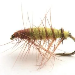 Umpqua Superpuppan Olive