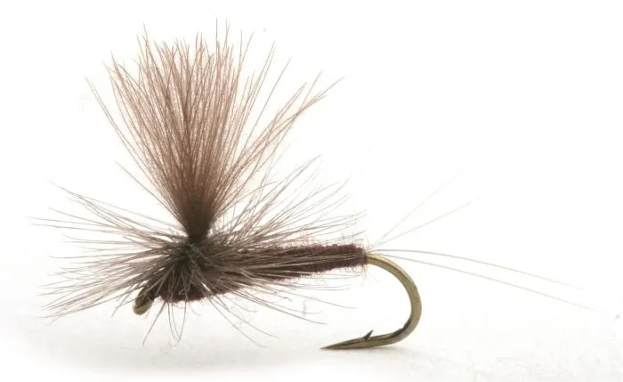 Umpqua Vespertina 3 Umpqua Vespertina