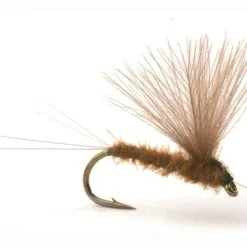 Umpqua Runes CDC Nohackle Olive