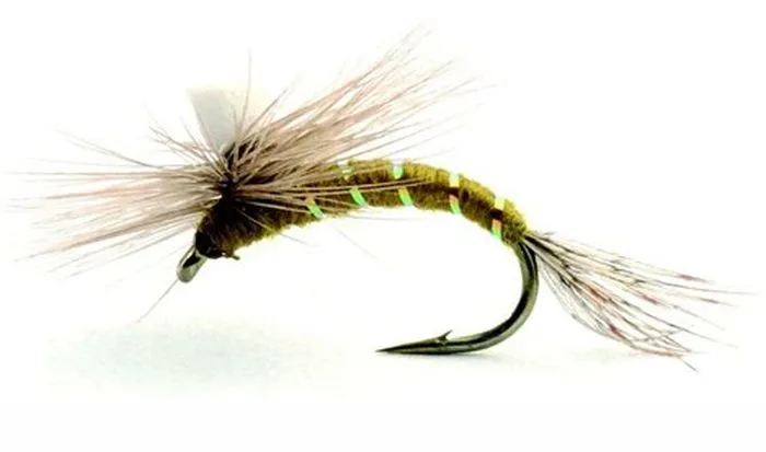 Umpqua Baetis Klekker Olive 3 Umpqua Baetis Klekker Olive