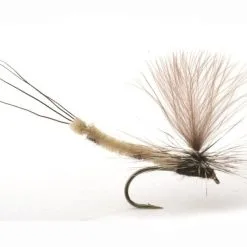 Umpqua Danica Dun Krok 10