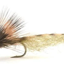 Umpqua BS Grandisklekker