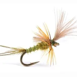 Guideline Quigley Cripple BWO