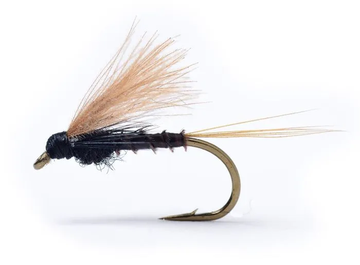 Umpqua Cdc Biot Dun Emerger Lepto 3 Umpqua Cdc Biot Dun Emerger Lepto