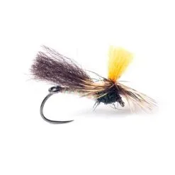 Guideline Indi Caddis Krok 12