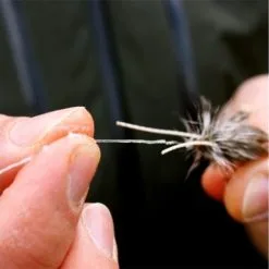 Loon Payette Paste 7 Loon Payette Paste -Vision Butikk 12817payette pasteC