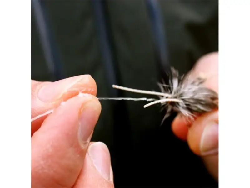 Loon Payette Paste 5 Loon Payette Paste - Bilde 3