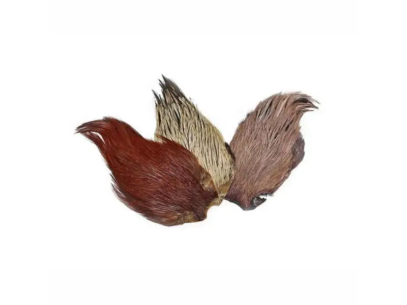 Veniard Indisk Hane Nakke 3 Veniard Indisk Hane Nakke