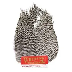 Whiting Bugger Pack Grizzly