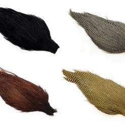 Ewing Hanenakker Grad 1