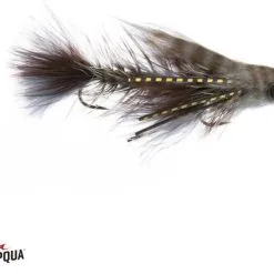 Umpqua Baby Conga Gray Krok 8