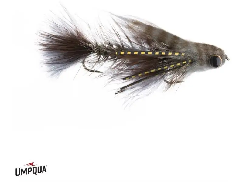 Umpqua Baby Conga Gray Krok 8 3 Umpqua Baby Conga Gray Krok 8