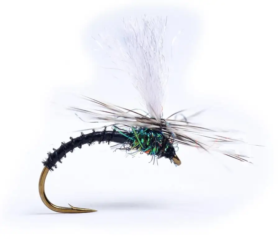 Guideline Klink Black Biot 3 Guideline Klink Black Biot