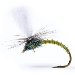 Guideline Klink Lt Olive Biot