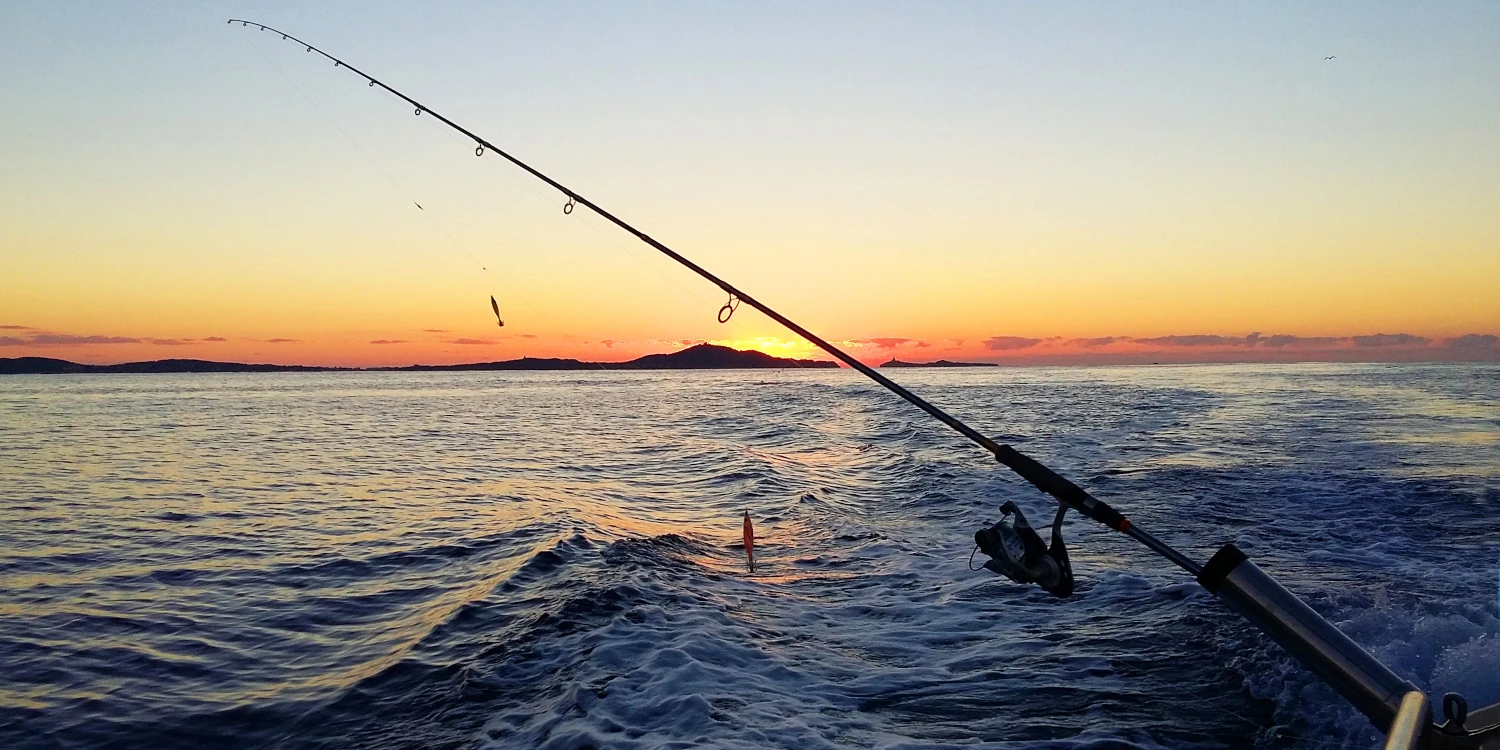Forside -Vision Butikk Meeresruten kaufen
