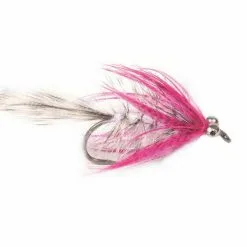 Guideline Polar Magnus Krok 8