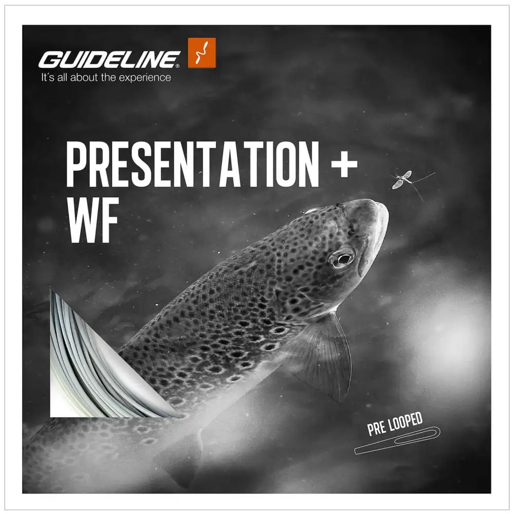Guideline Presentation+ WF Flyt 3 Guideline Presentation+ WF Flyt