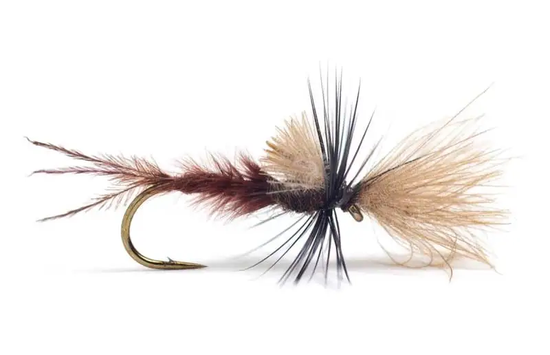 Guideline Quigley Cripple Lepto 3 Guideline Quigley Cripple Lepto