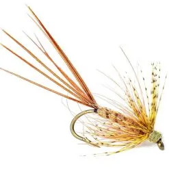 Guideline Vulgata Gosling Krok 8