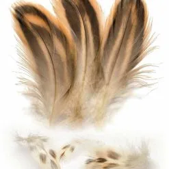 Veniard Hen Mallard Breast Feathers