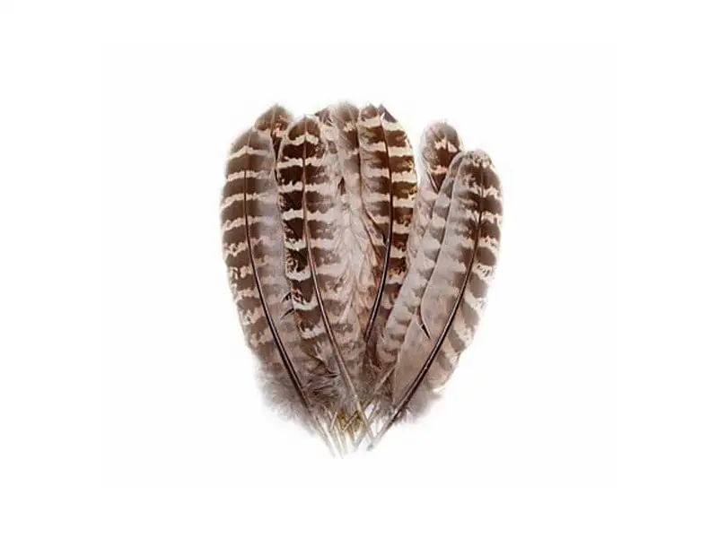 Veniard Hen Pheasant Wings Quills 3 Veniard Hen Pheasant Wings Quills