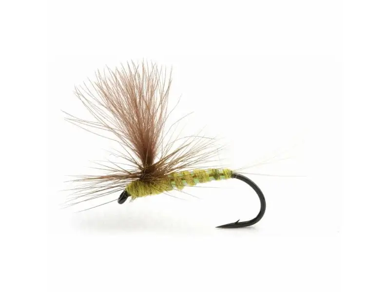 Umpqua Olive Flash 3 Umpqua Olive Flash