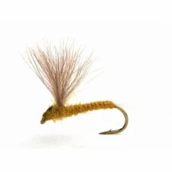 Umpqua Runes CDC Nohackle Light Olive