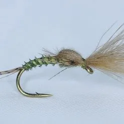Guideline Shuttlecock Emerger Baetis