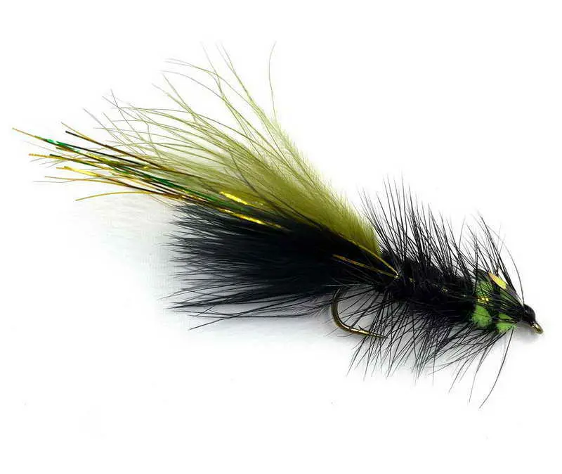 Guideline Suck On This 3 Guideline Suck On This