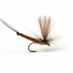 Guideline Vulgata Dun Krok 10