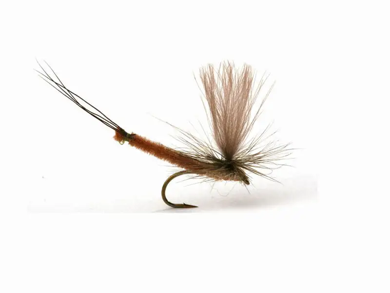 Guideline Vulgata Dun Krok 10 3 Guideline Vulgata Dun Krok 10